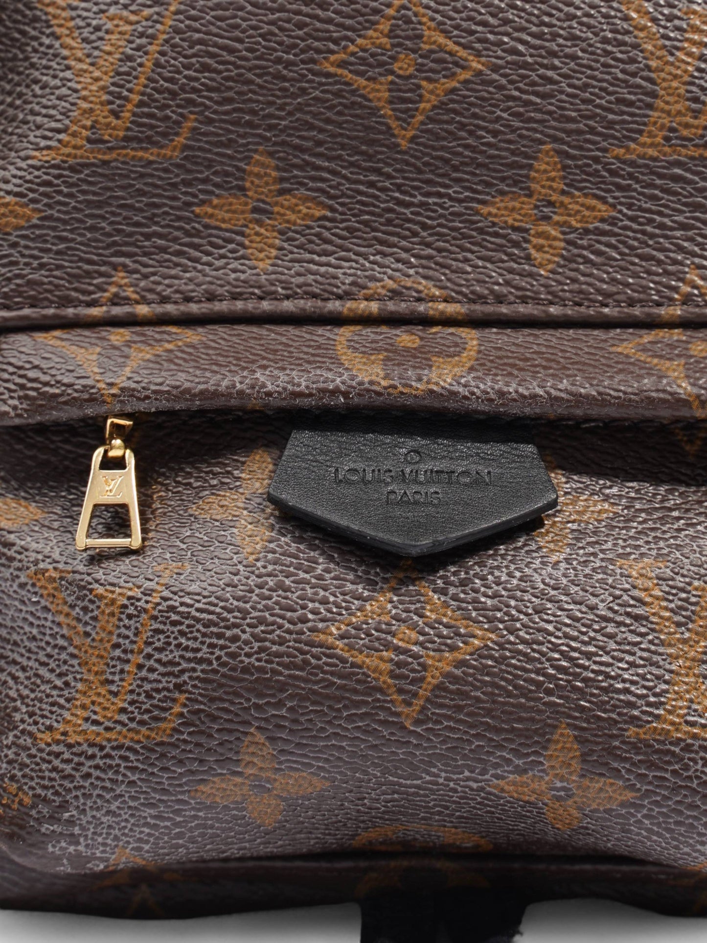 Louis Vuitton Palm Springs Mini Monogram Coated Canvas