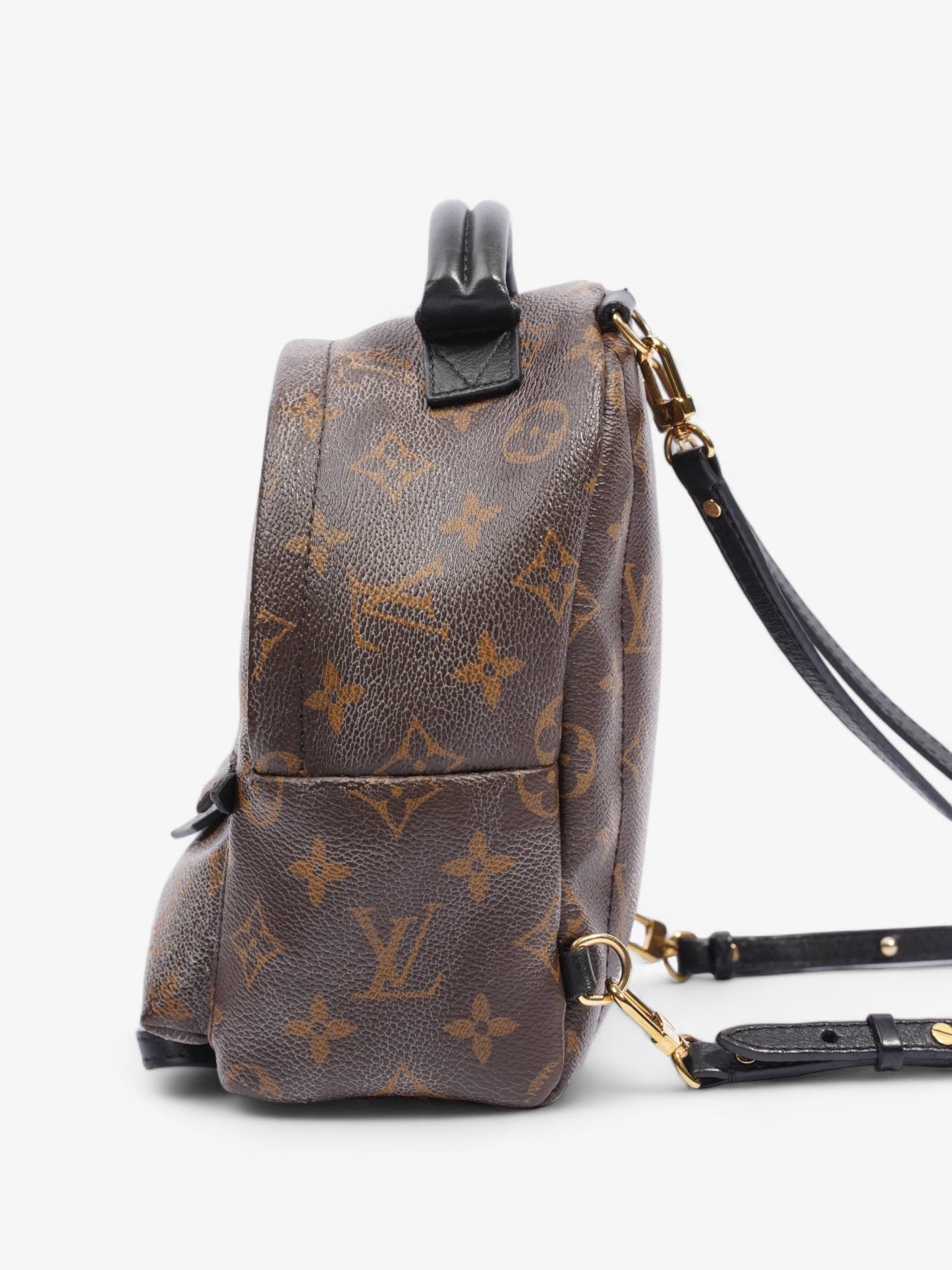 Louis Vuitton Palm Springs Mini Monogram Coated Canvas