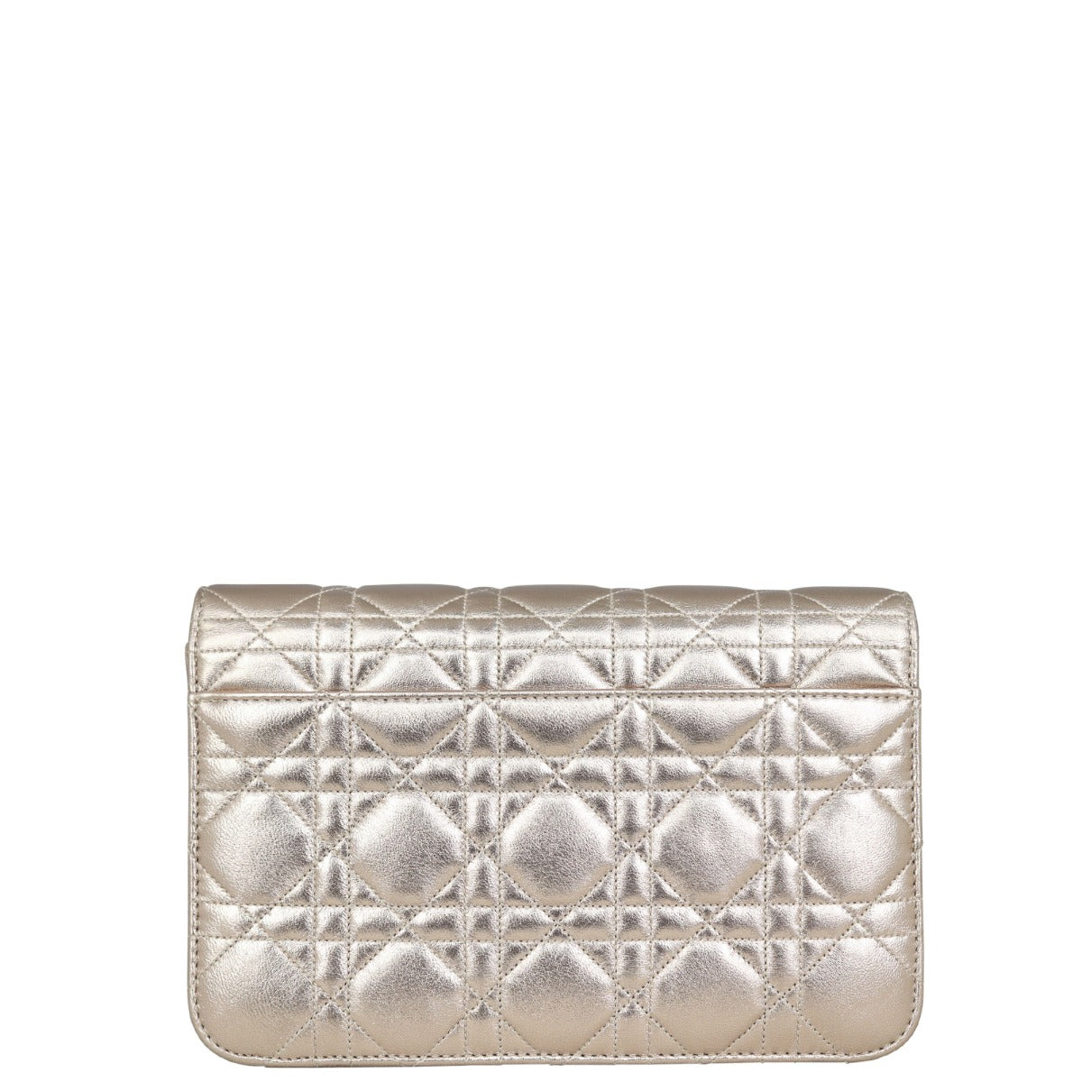 Miss Dior Promenade Pouch