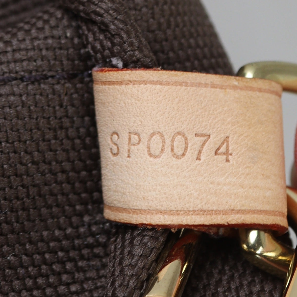 Louis Vuitton Garment Cover Monogram