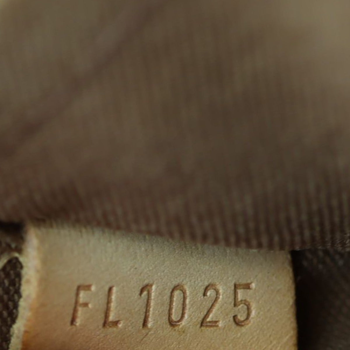 Louis Vuitton Popincourt Haut Monogram
