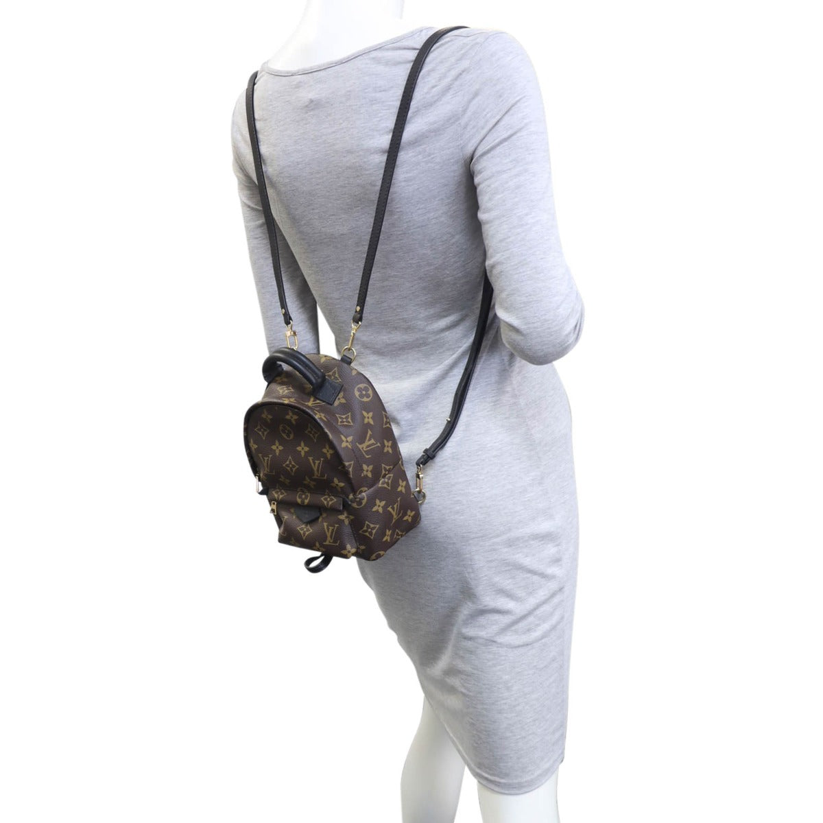 Louis Vuitton Palm Springs Mini Backpack Monogram