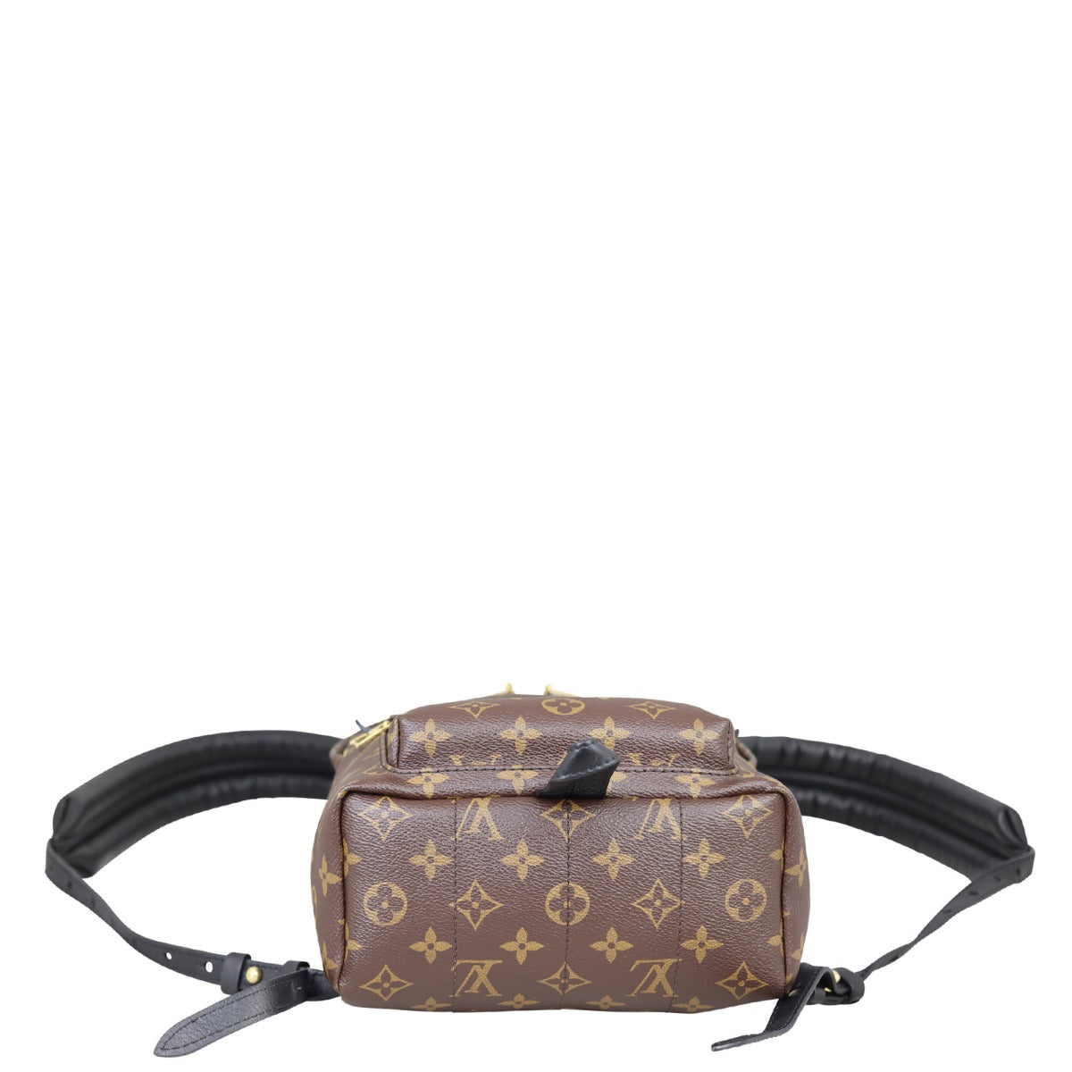 Louis Vuitton Palm Springs Backpack PM Monogram