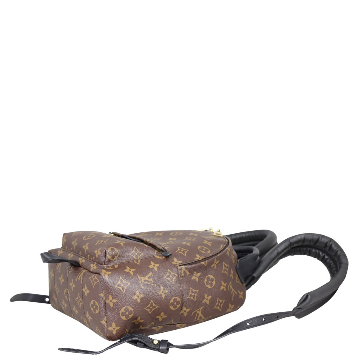 Louis Vuitton Palm Springs Backpack PM Monogram