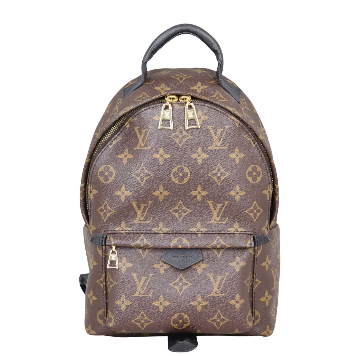 Louis Vuitton Palm Springs Backpack PM Monogram