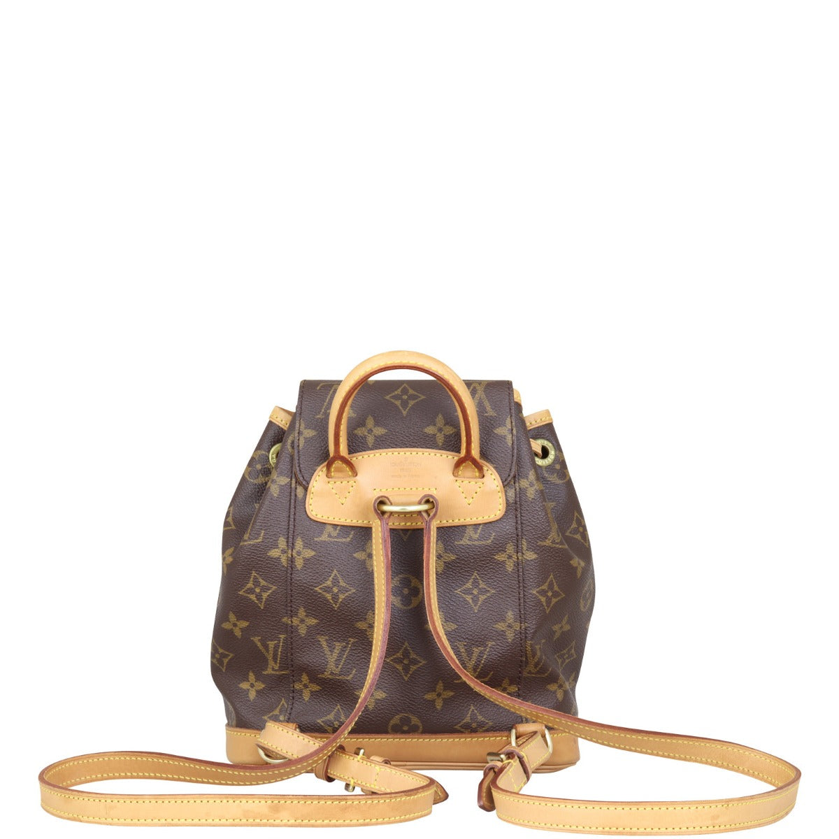 Louis Vuitton Montsouris PM Monogram Backpack