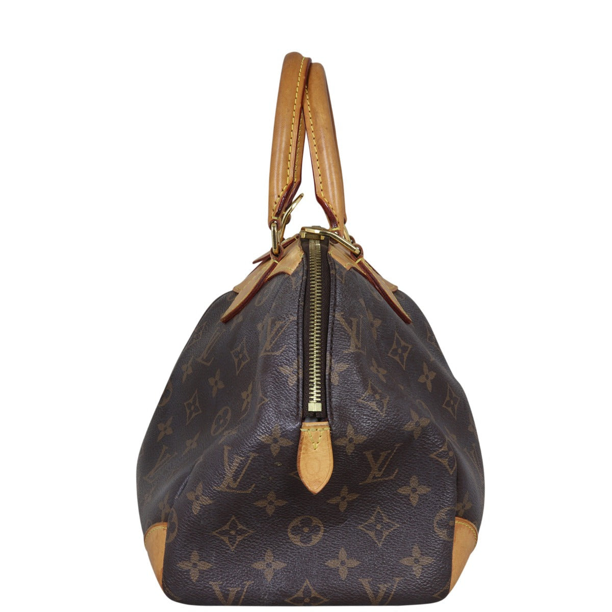 Louis Vuitton Segur Monogram