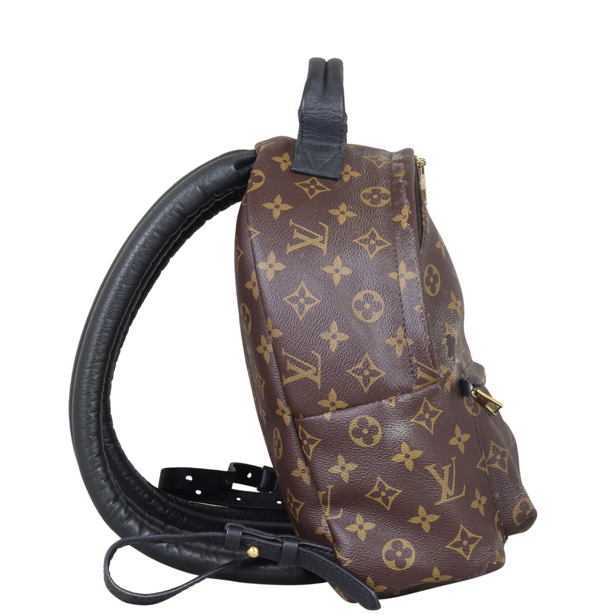 Louis Vuitton Palm Springs Backpack PM Monogram