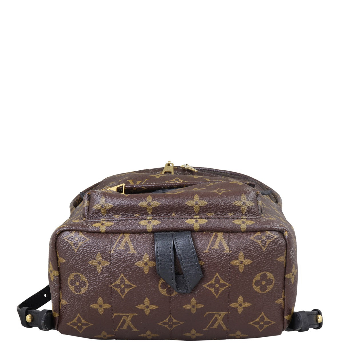 Louis Vuitton Palm Springs Backpack PM Monogram
