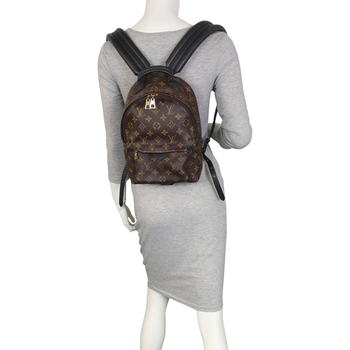 Louis Vuitton Palm Springs Backpack PM Monogram