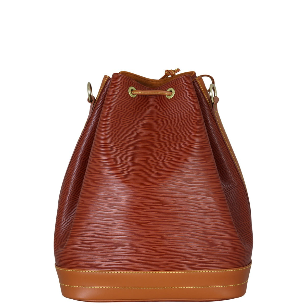 Louis Vuitton Noe Epi