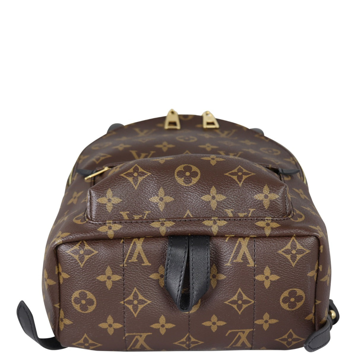 Louis Vuitton Palm Springs Backpack PM Monogram