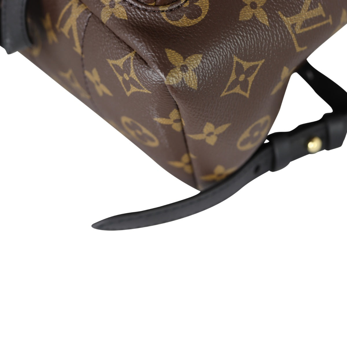 Louis Vuitton Palm Springs Backpack PM Monogram