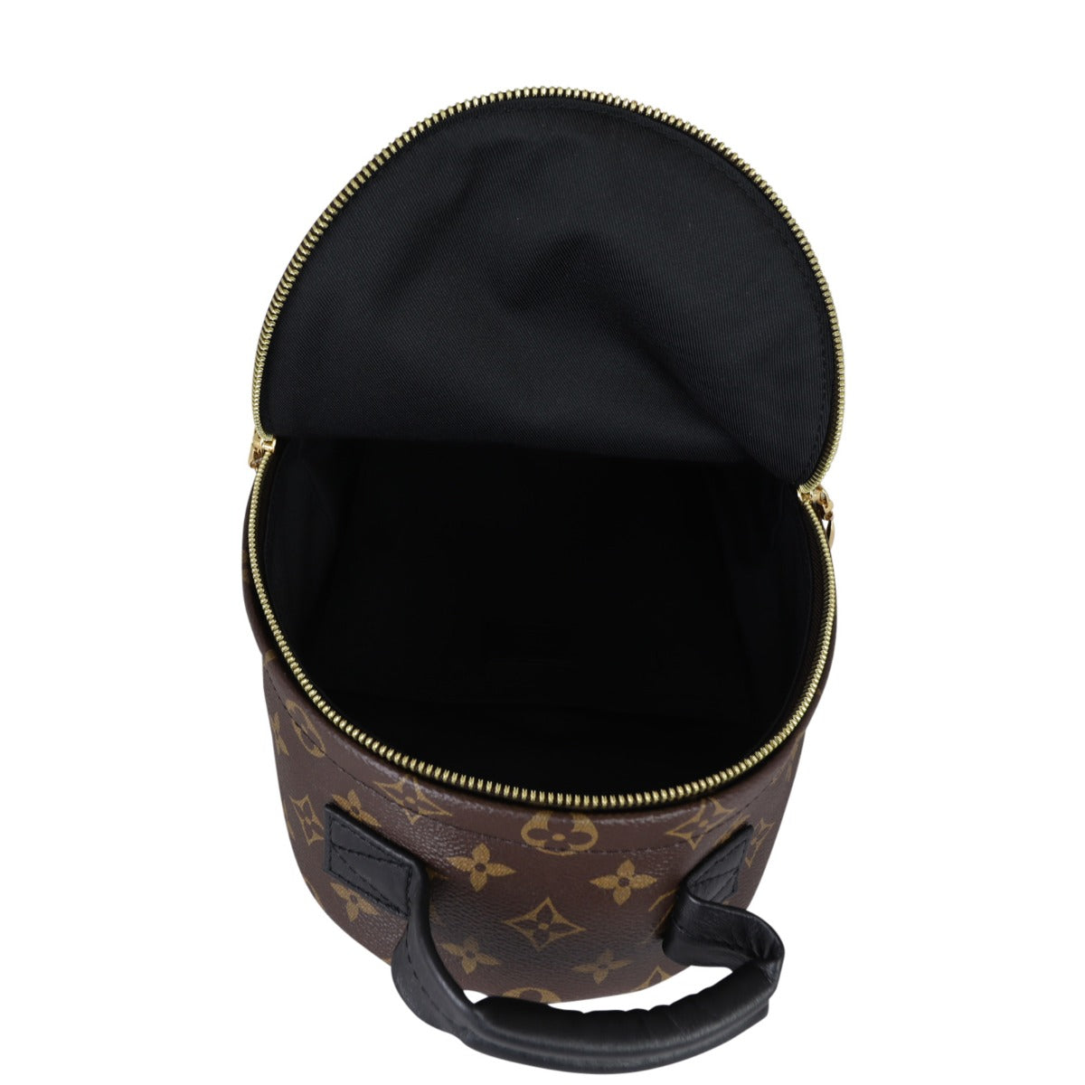 Louis Vuitton Palm Springs Backpack PM Monogram