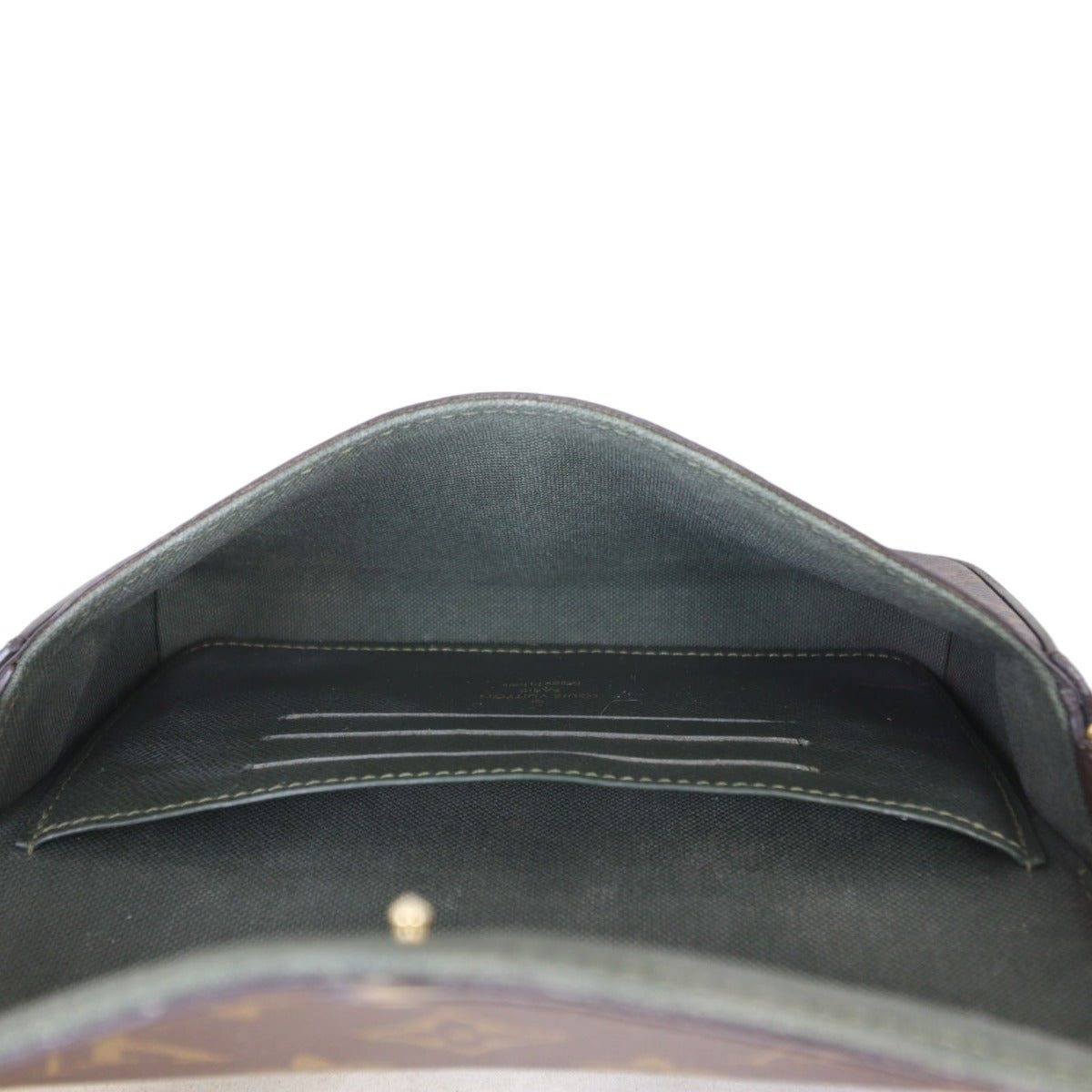 Louis Vuitton Felicie Strap & Go Monogram