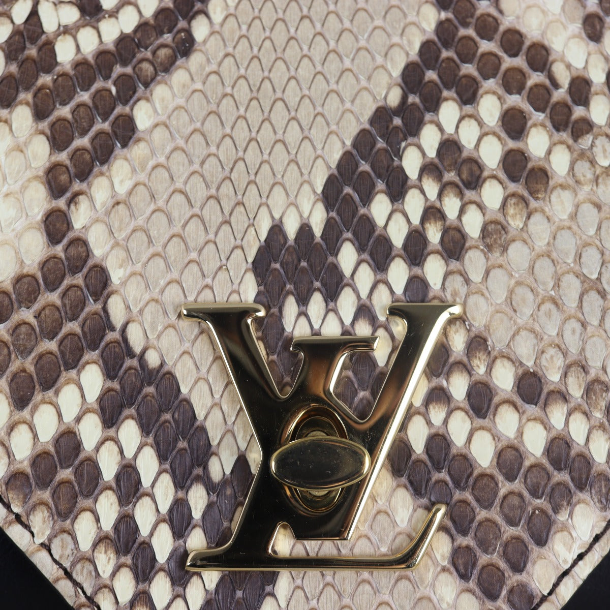 Louis Vuitton Love Note Chain Clutch Python