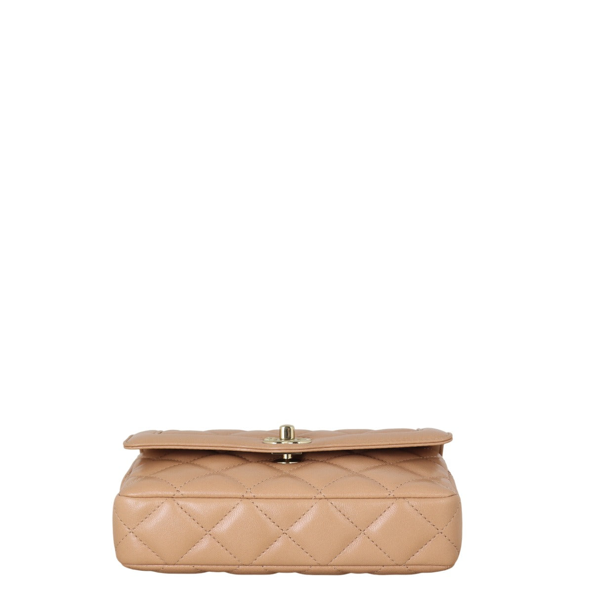 Chanel Hold The Line Flap Bag
