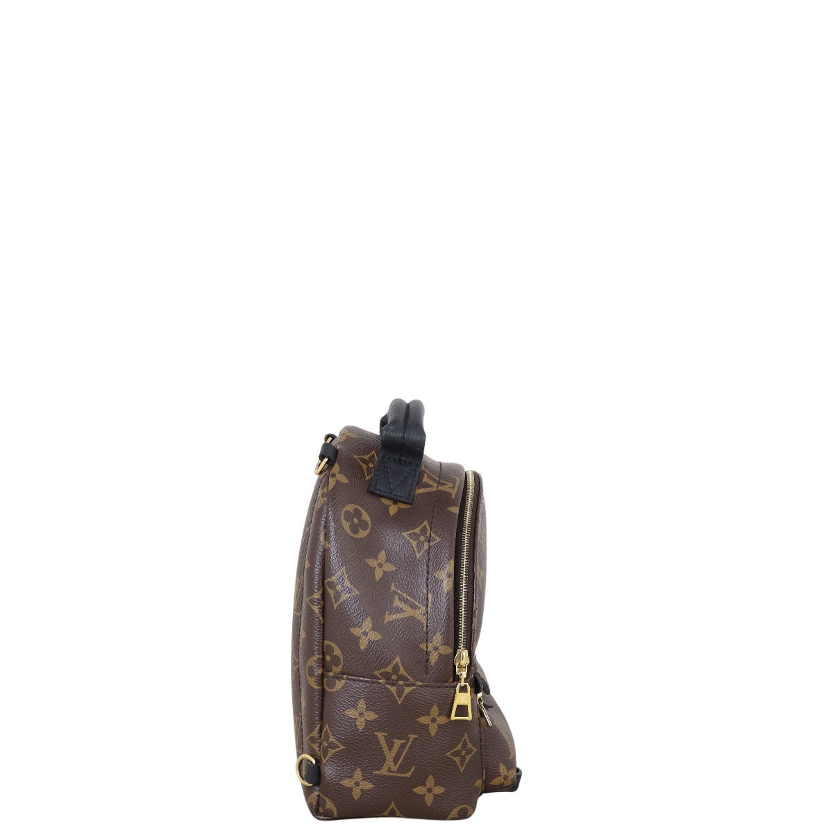 Louis Vuitton Palm Springs Mini Backpack Monogram