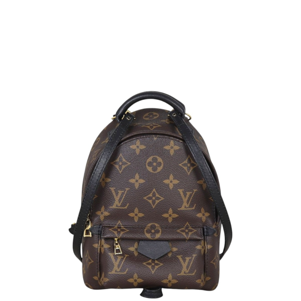Louis Vuitton Palm Springs Mini Backpack Monogram