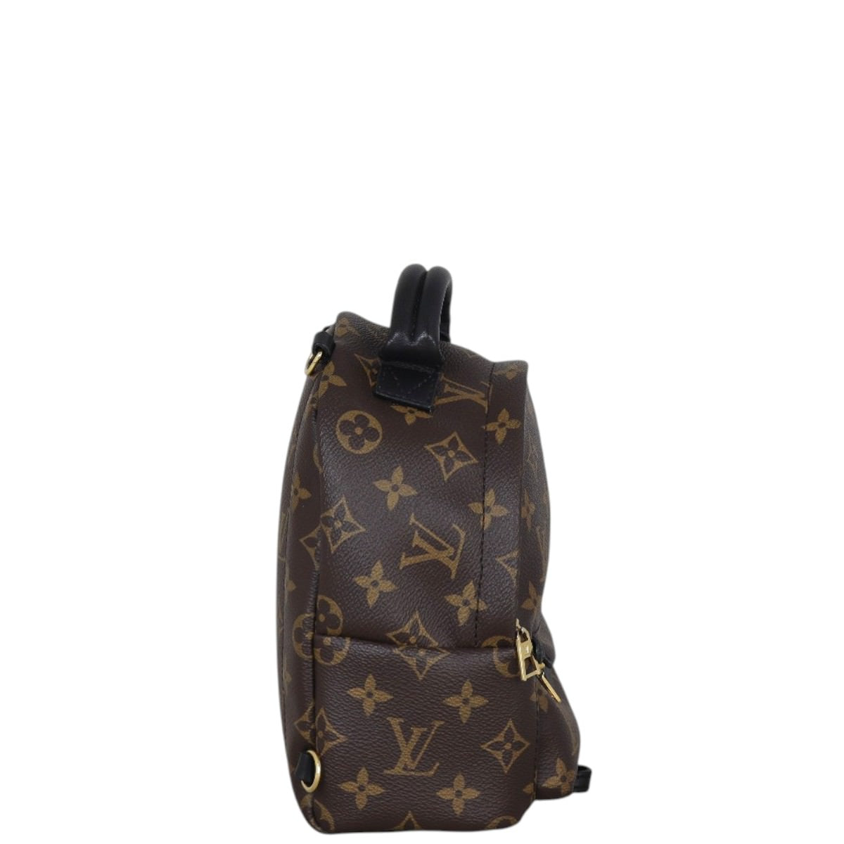 Louis Vuitton Palm Springs Mini Backpack Monogram