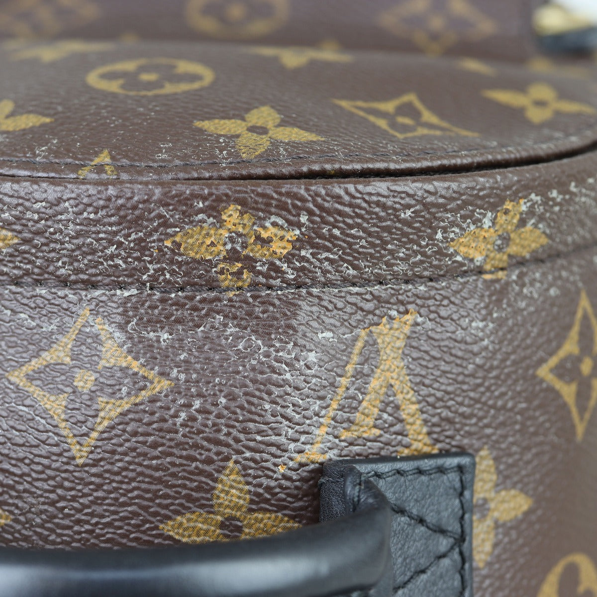 Louis Vuitton Palm Springs Mini Backpack Monogram