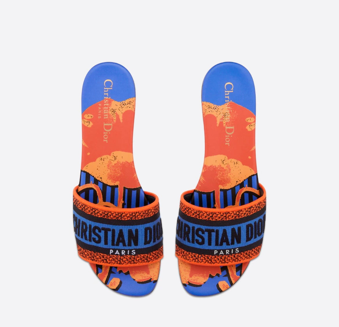 Dior D-Way Slides Blue Multicolor D-Flower Pop Cotton Embroidery