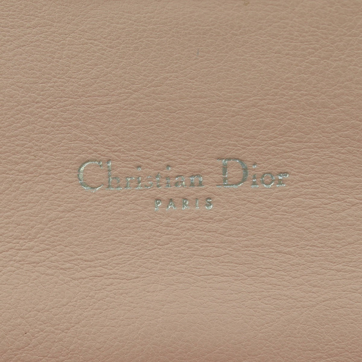 Dior Miss Dior Promenade Pouch