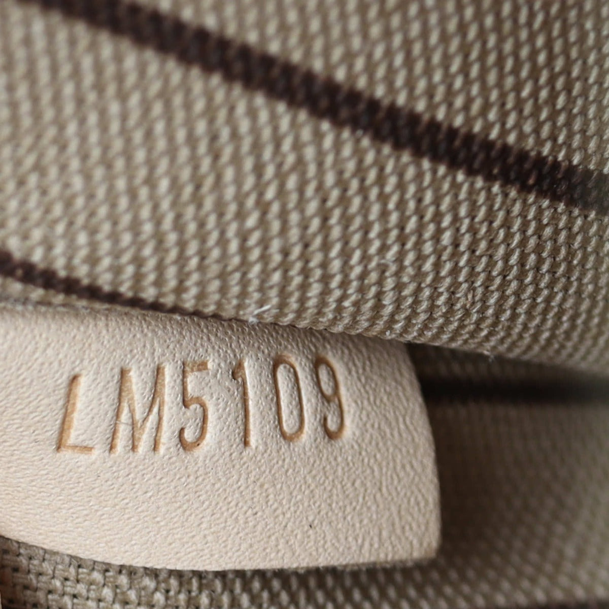 Louis Vuitton Neverfull Pochette Monogram