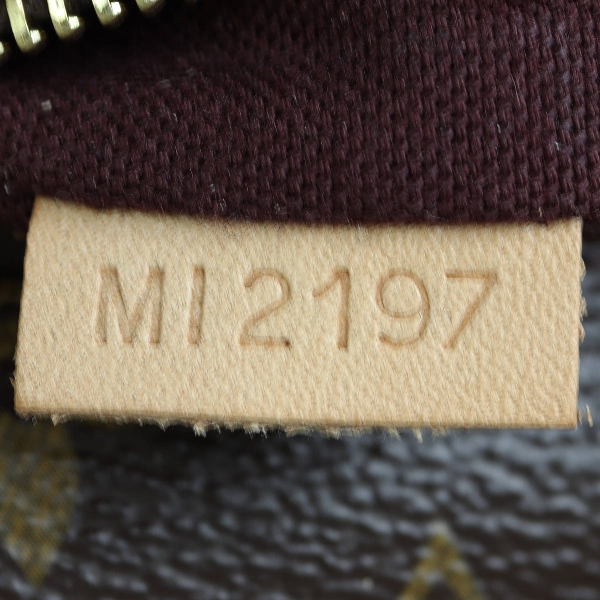 Louis Vuitton Iena MM Monogram