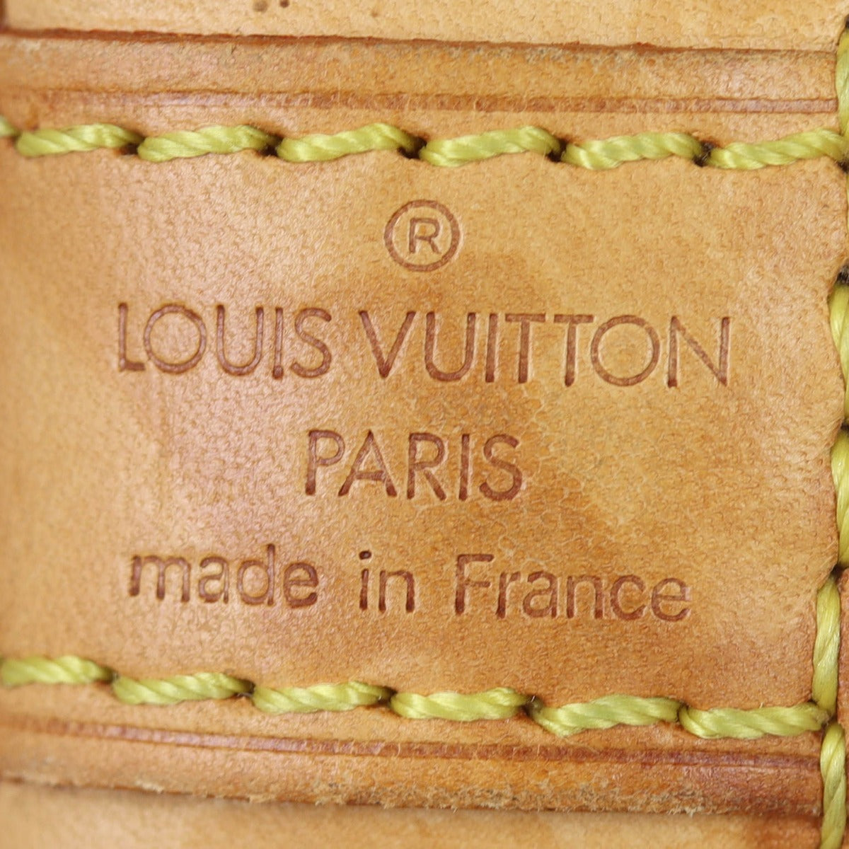 Louis Vuitton Alma PM Multicolore | Gold Hardware