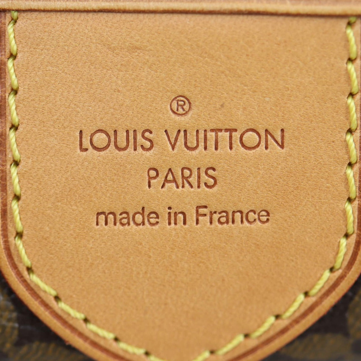 Louis Vuitton Delightful GM Monogram
