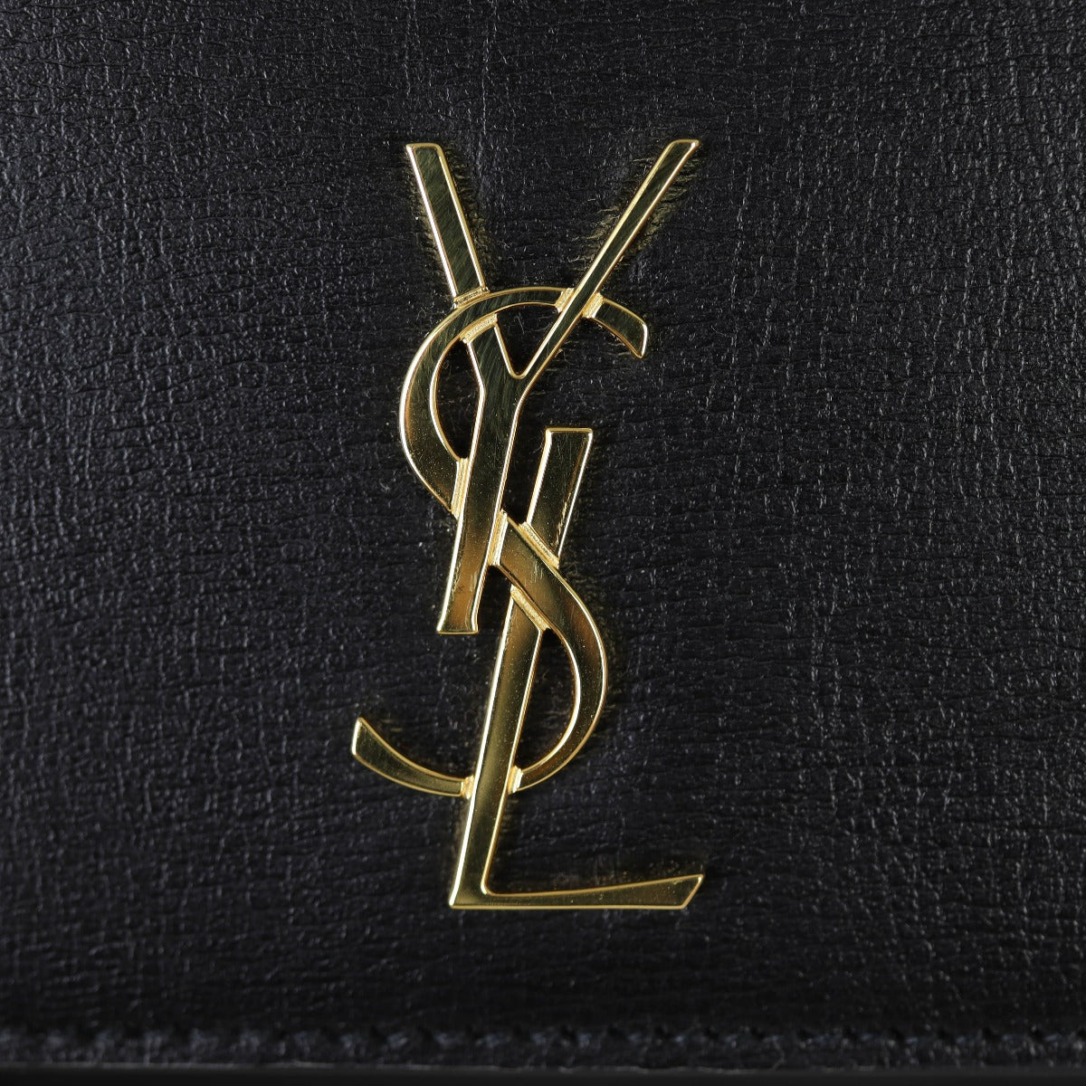 Saint Laurent Cassandre Phone Holder on Chain