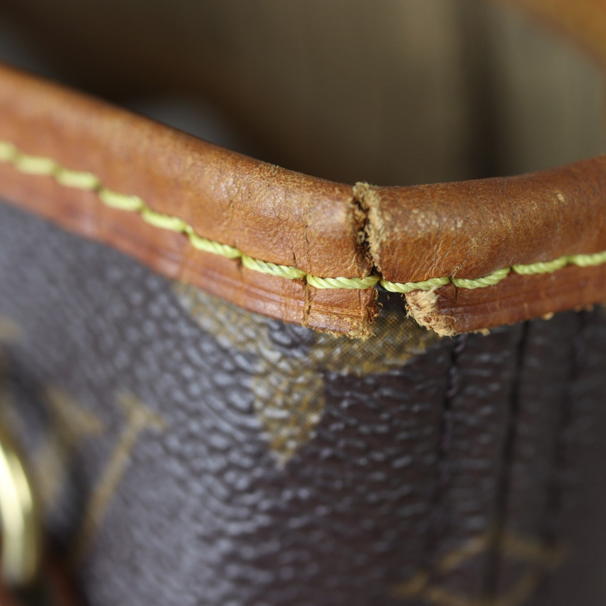 Louis Vuitton Neverfull PM Monogram