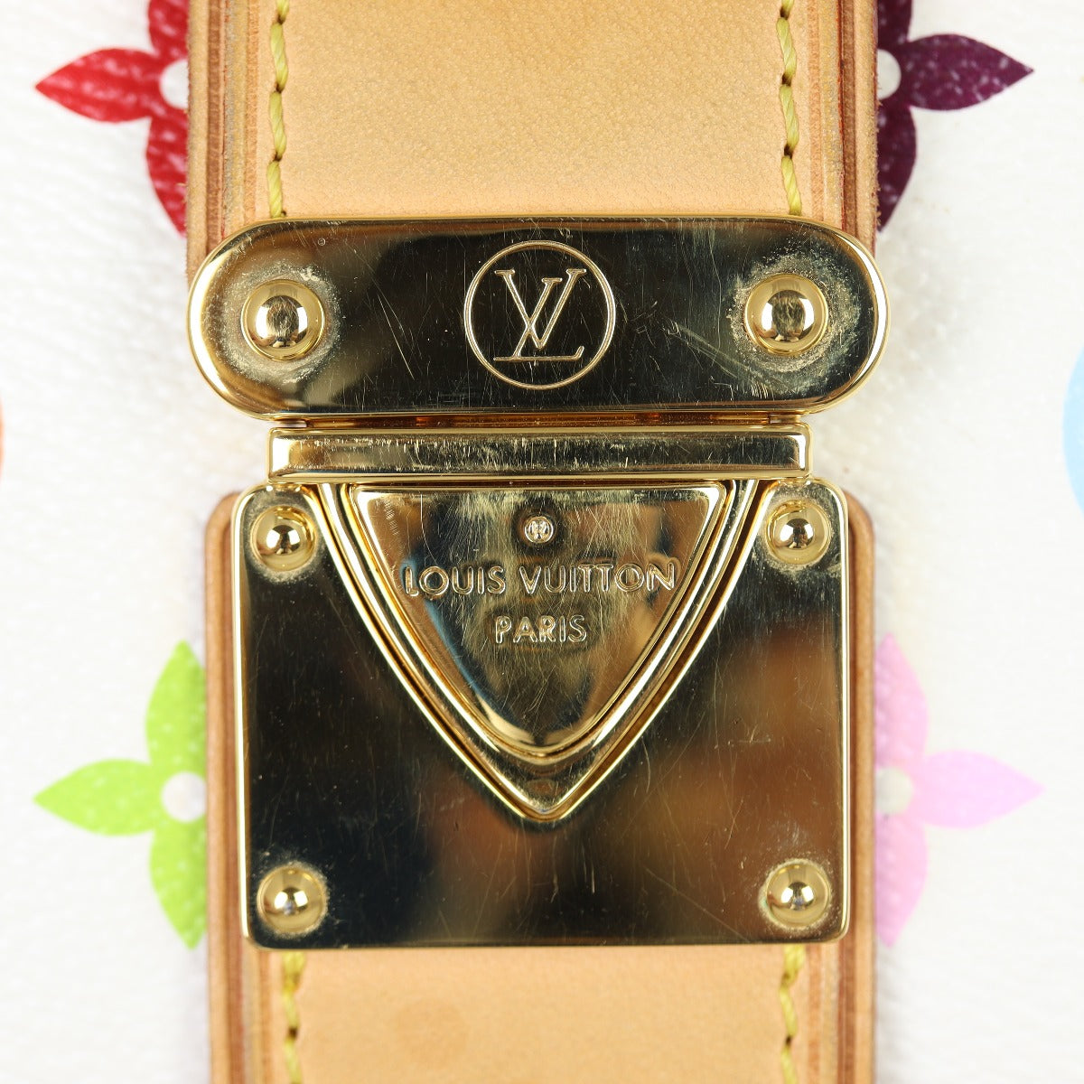 Louis Vuitton Shirley Monogram Multicolore
