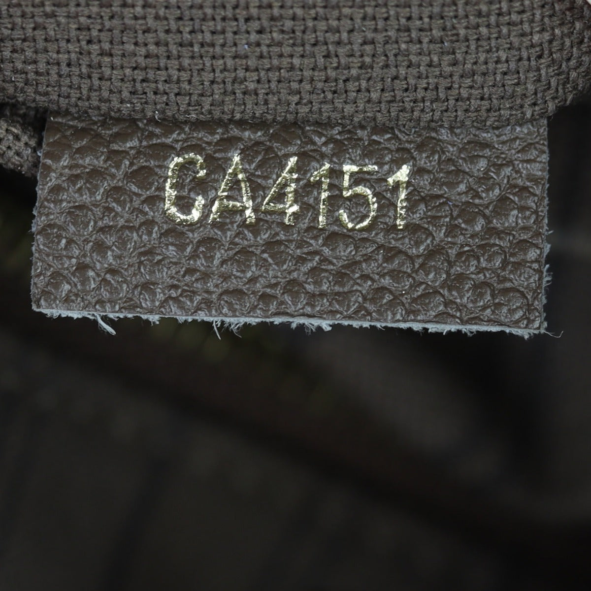 Louis Vuitton Citadine Monogram Empreinte GM