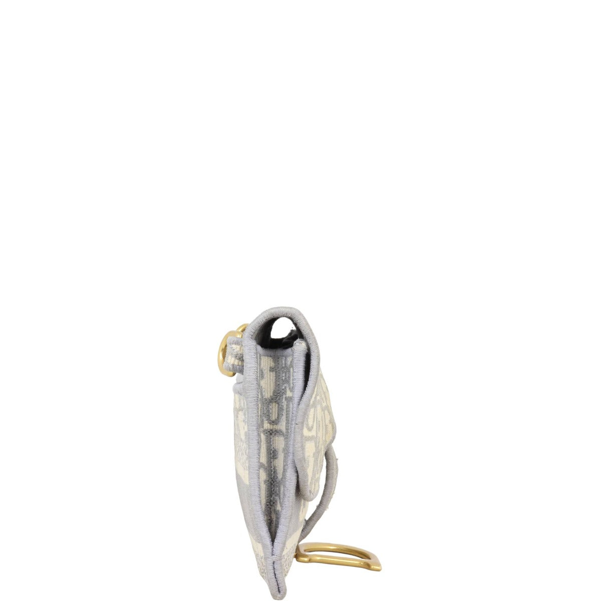 Dior Saddle Belt Pouch Oblique