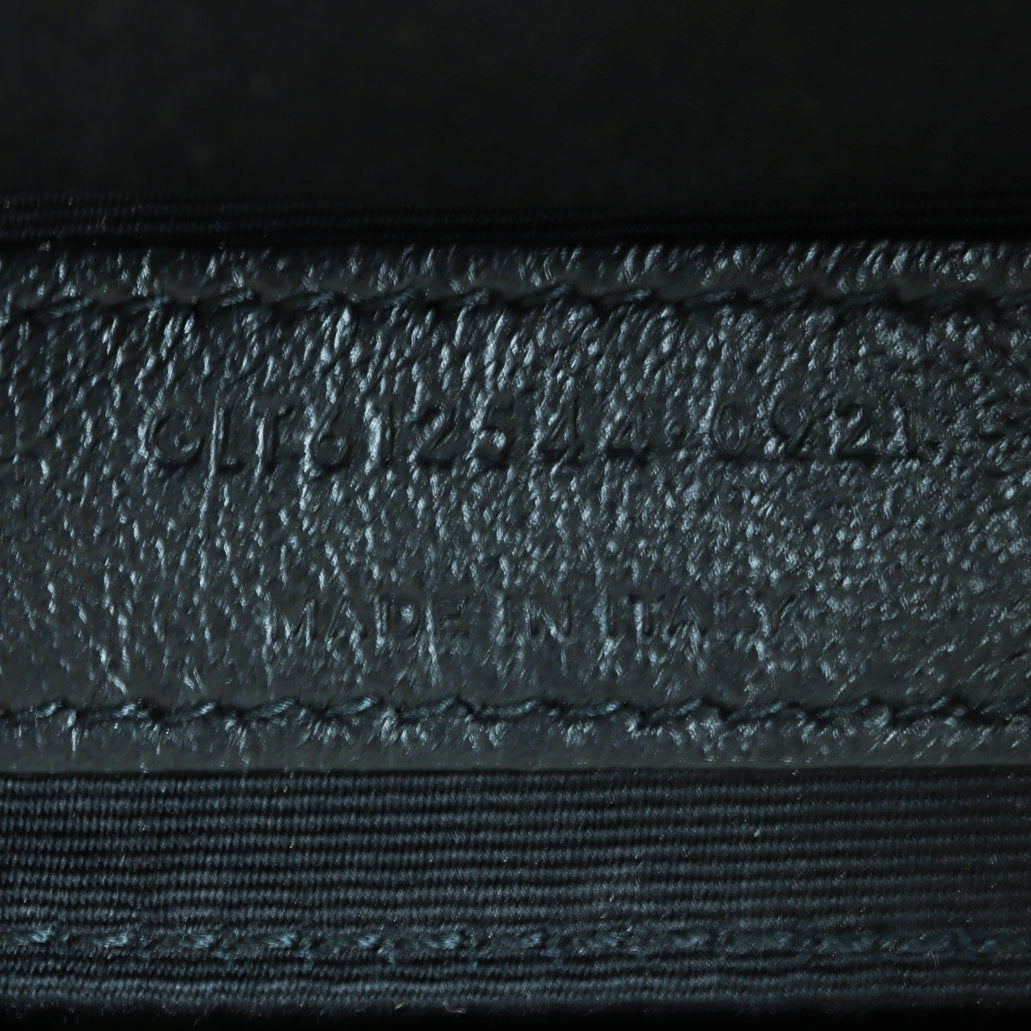Saint Laurent Lou Camera Bag