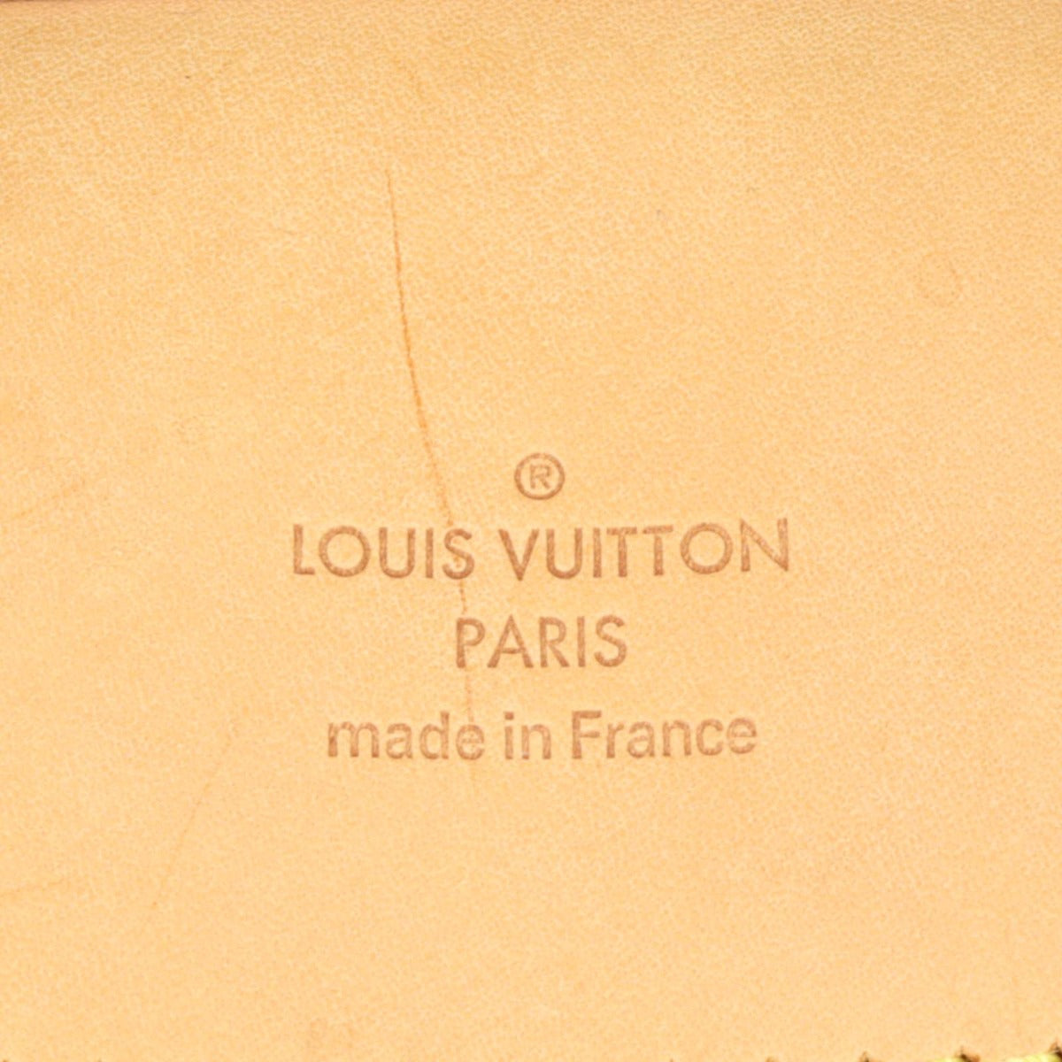 Louis Vuitton Evasion Monogram