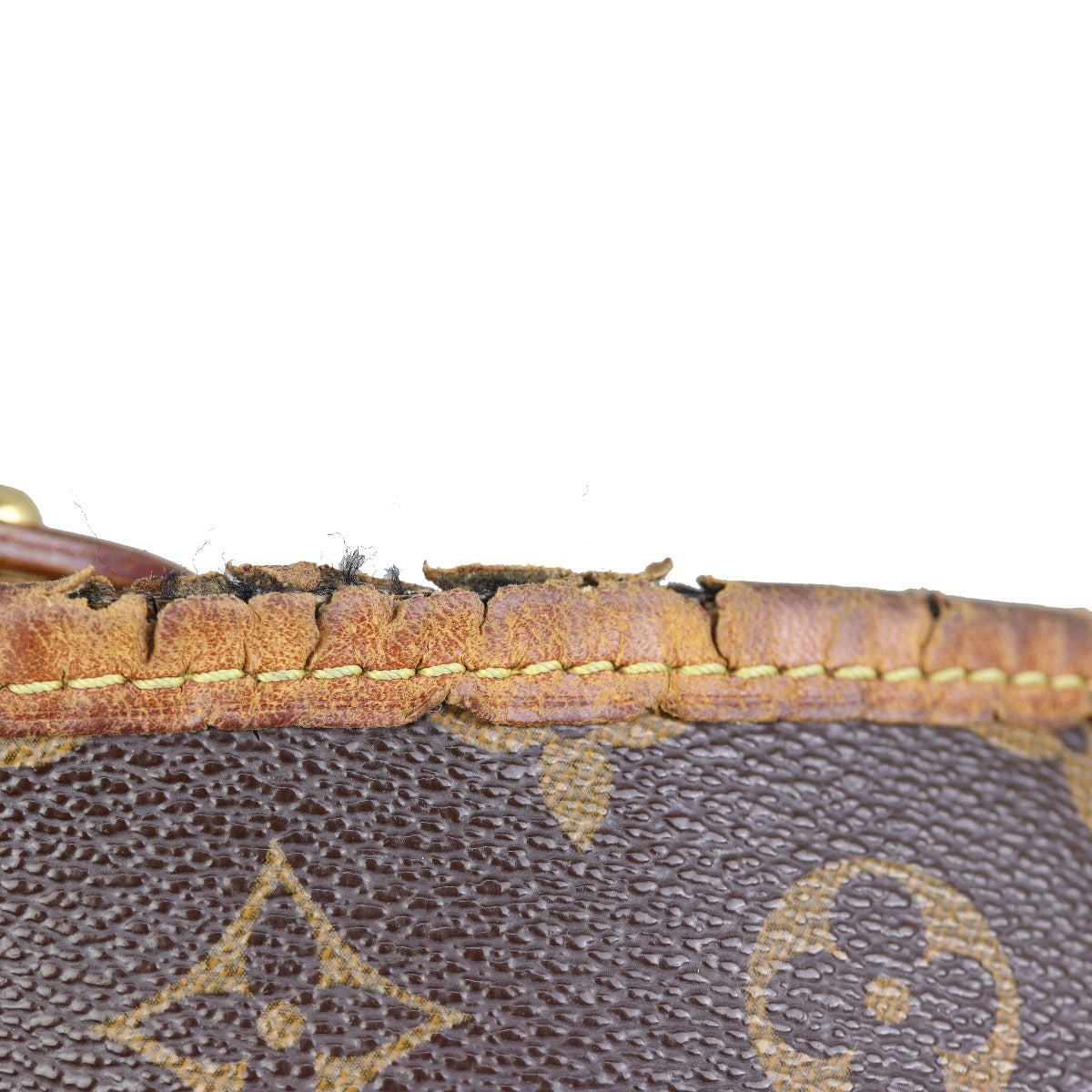 Louis Vuitton Delightful PM Monogram