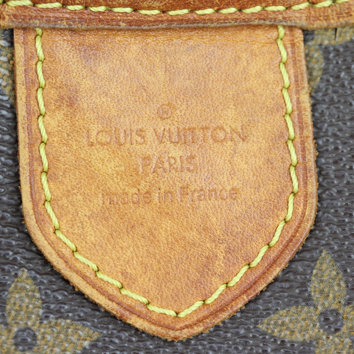 Louis Vuitton Delightful PM Monogram