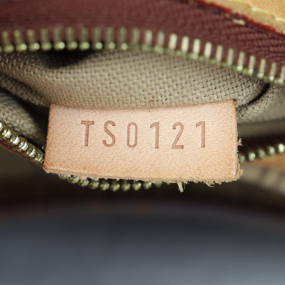Louis Vuitton Delightful PM Monogram
