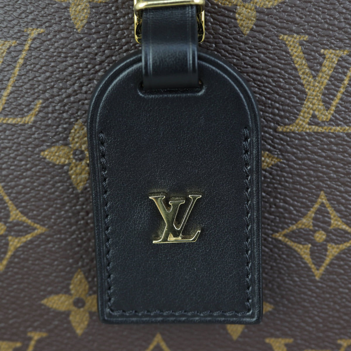 Louis Vuitton Odeon PM Monogram Noir