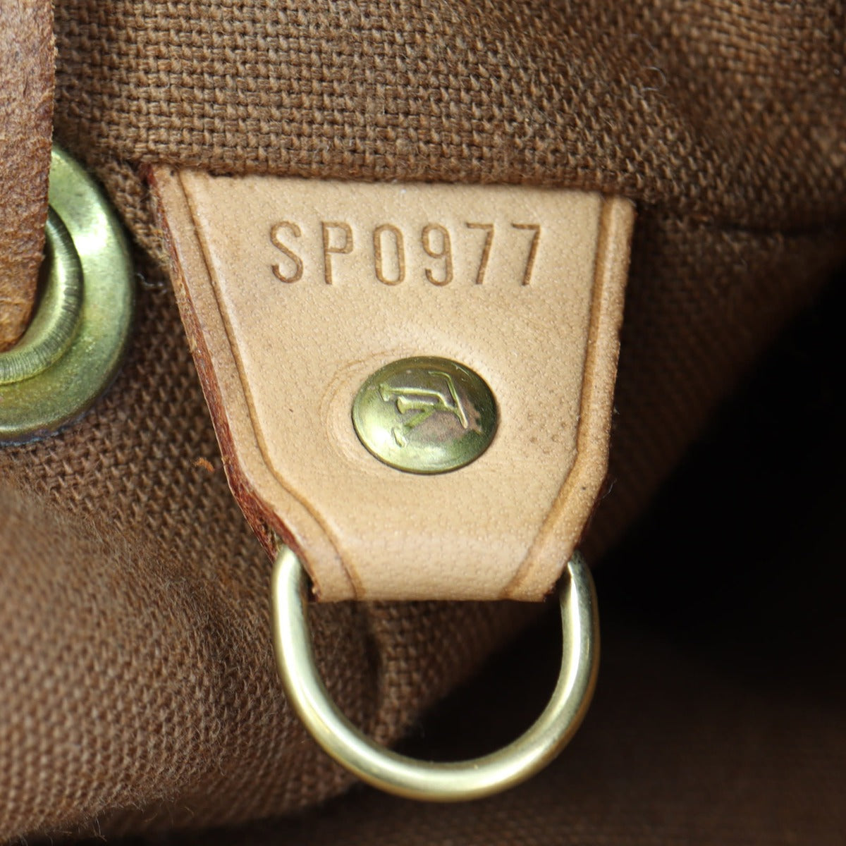Louis Vuitton Montsouris PM Monogram Backpack