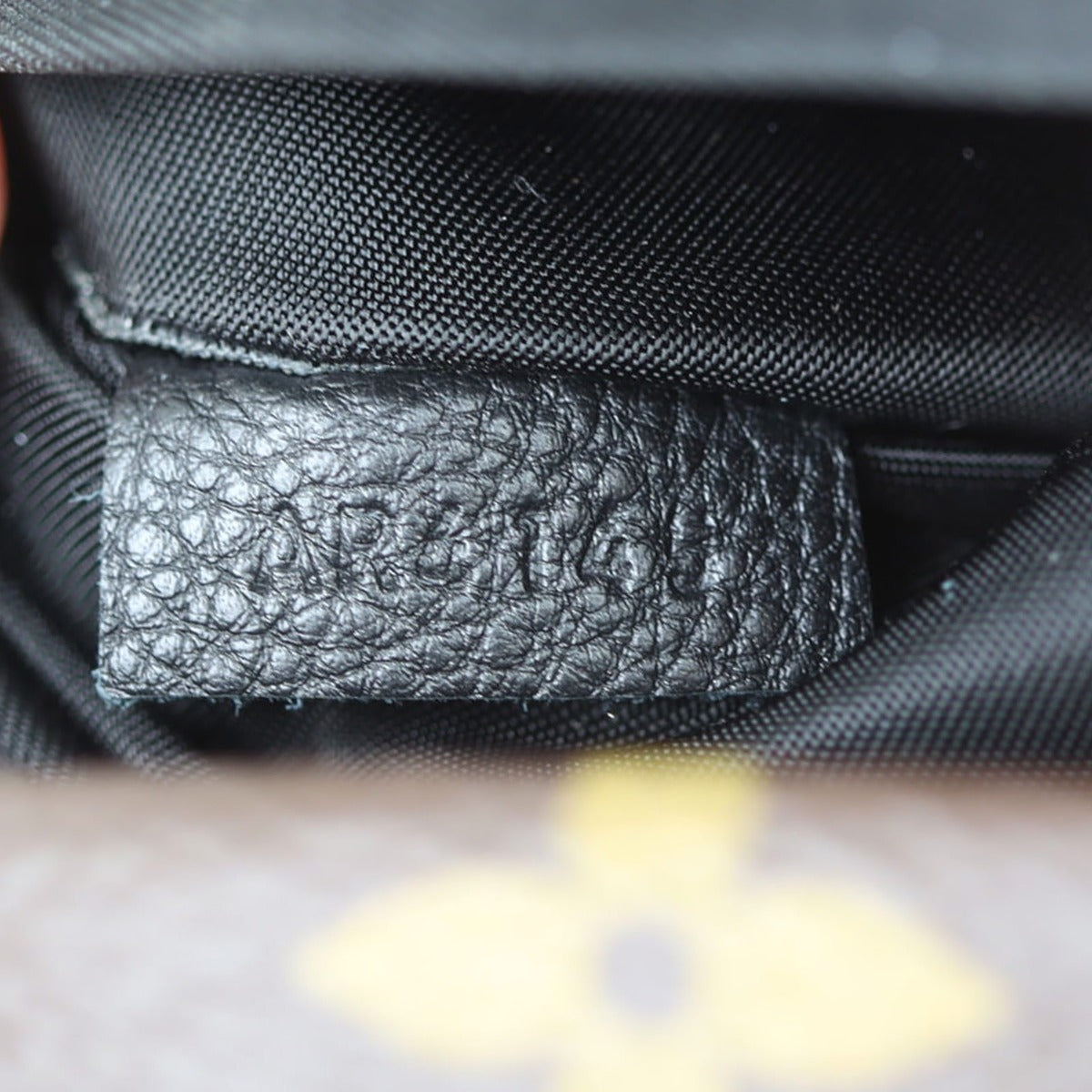 Louis Vuitton Palm Springs Mini Backpack Monogram