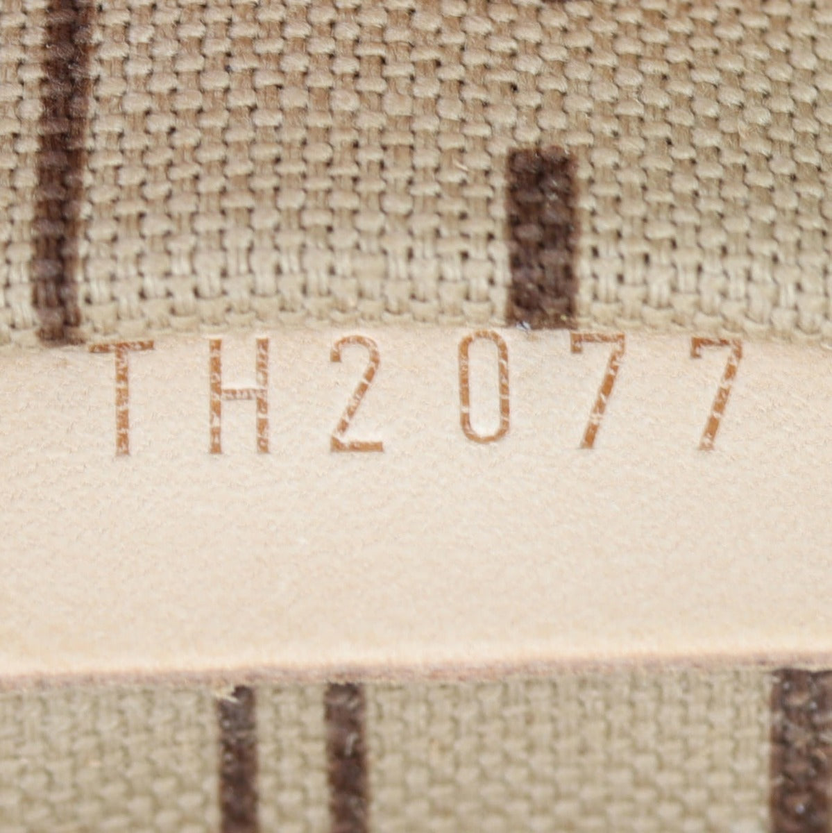 Louis Vuitton Neverfull PM Monogram
