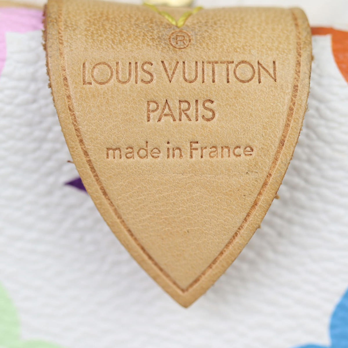 Louis Vuitton Speedy 30 Monogram Multicolore