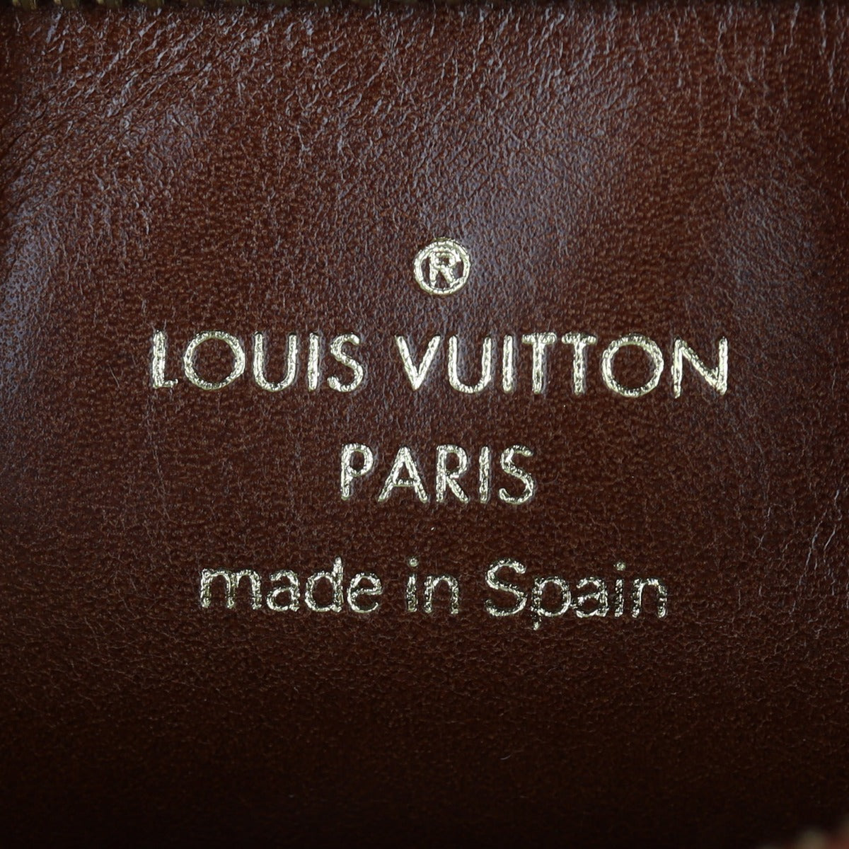 Louis Vuitton Linda Charms Monogram Bag