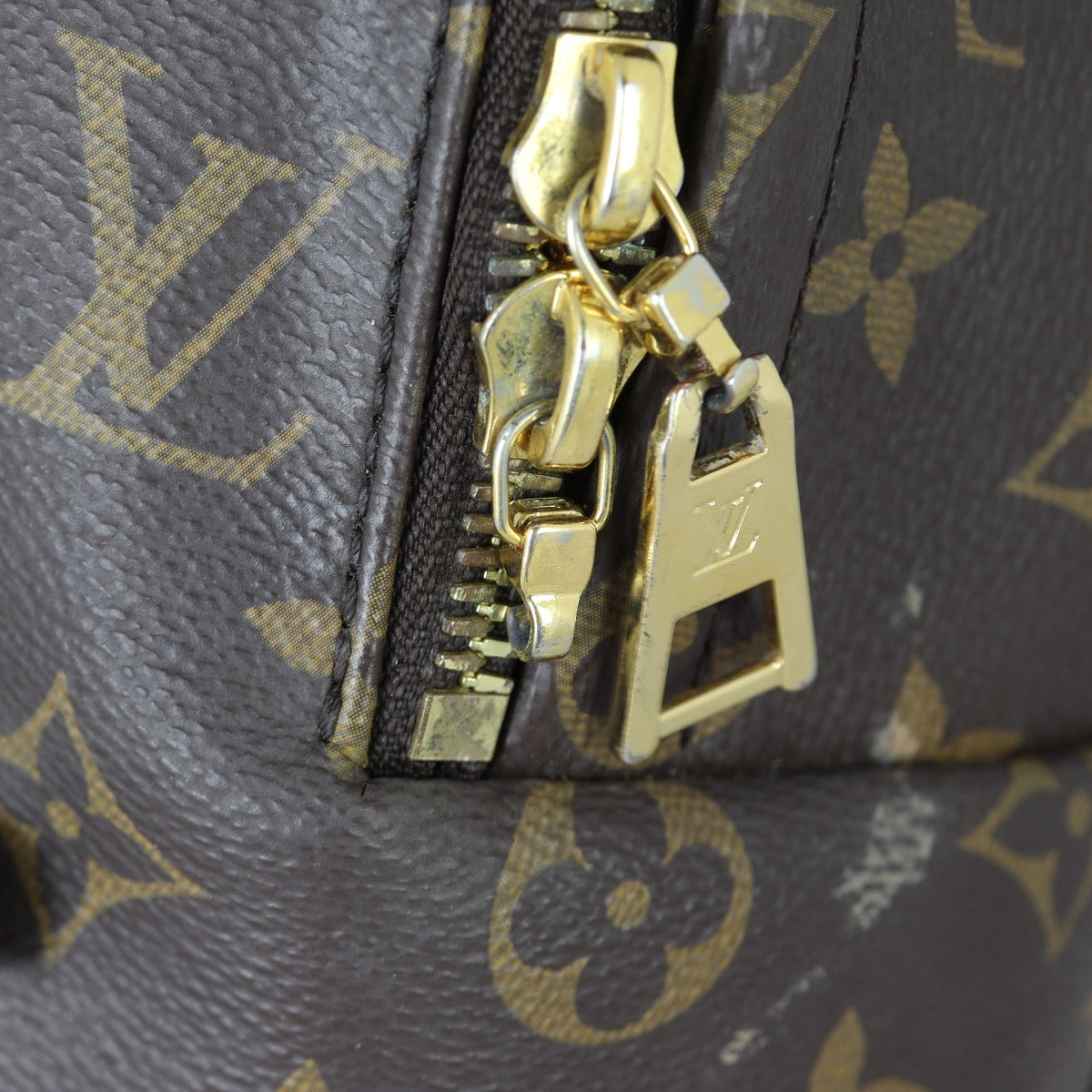 Louis Vuitton Palm Springs Backpack MM Monogram