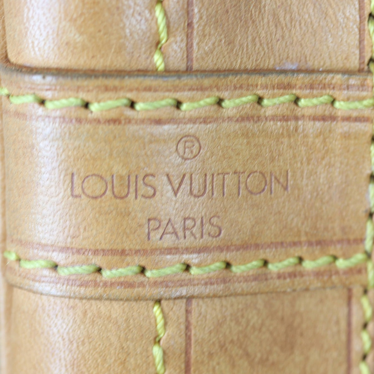 Louis Vuitton Noe Monogram