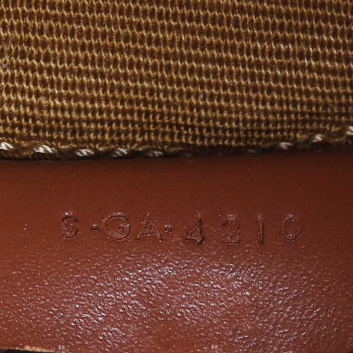 Celine Triomphe Bucket Bag Micro